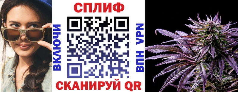 Цена Кириллов ГАШ СК МЕФ