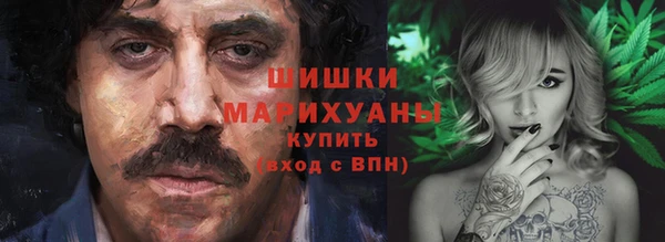мдма Новодвинск