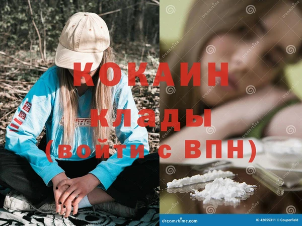 мдма Новодвинск